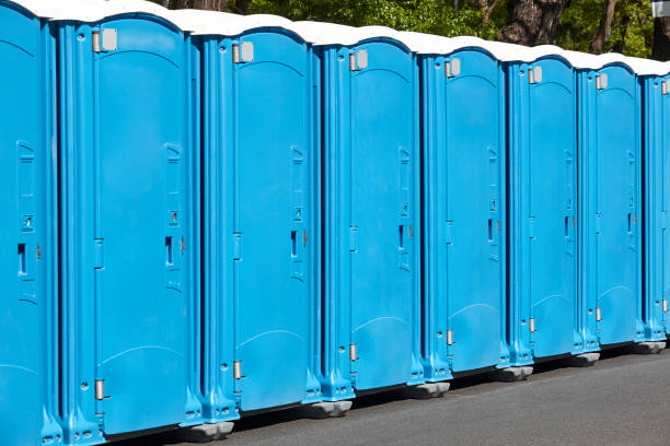 Types of Portable Toilets We Offer in Lindsay, TX